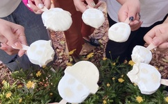 珍珠美人鱼全集中文版